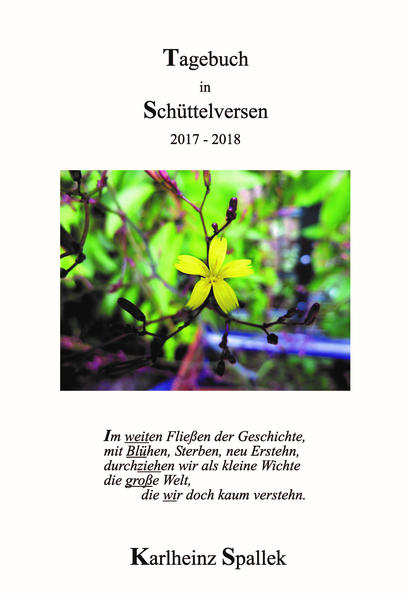 Fototagebuch in Schüttelversen 2017 - 2018